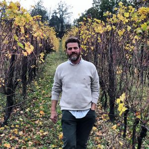 italia vino natural