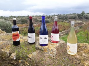 nini vino natural